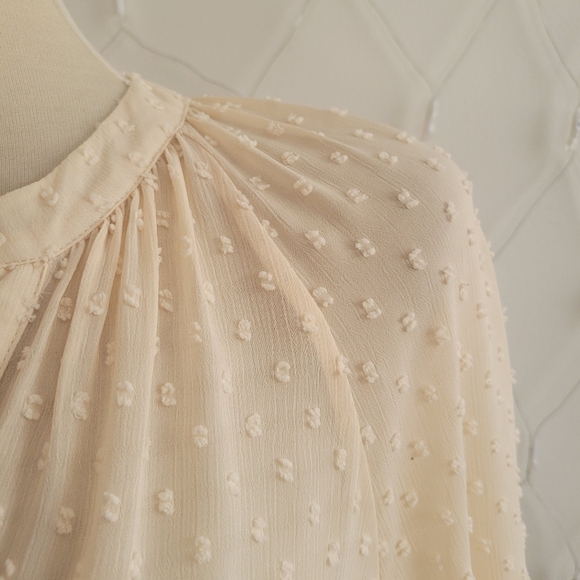 Zara Swiss Dot Button Down Blouse • Cream • Size Small - Picture 4 of 7